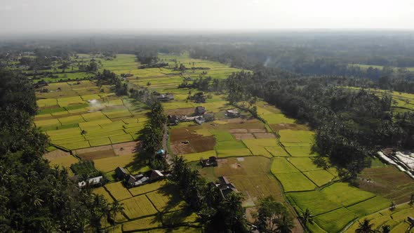 Aerial Rice Fields in Bali, Indonesia