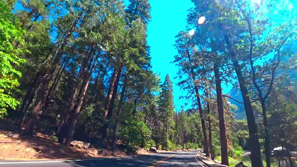 Driving into Yosemite National Park, California, USA.