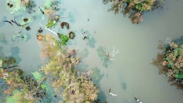 Vertical aerial footage of the Ovens River and euclaypt flood plains where it joins the Murray River alt