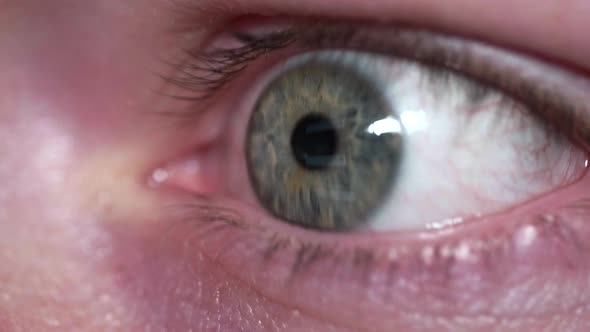 Reflection of screen on person's blue green eye in dark room 25 alt