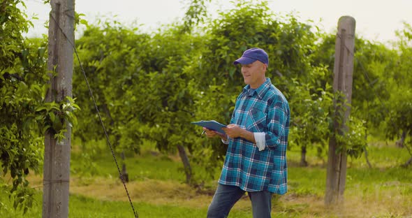 Male Researcher Looking at Trees While Writing on Clipboard alt