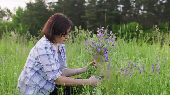 Mature Woman Picking Bouquet of Purple Wildflowers Bells
