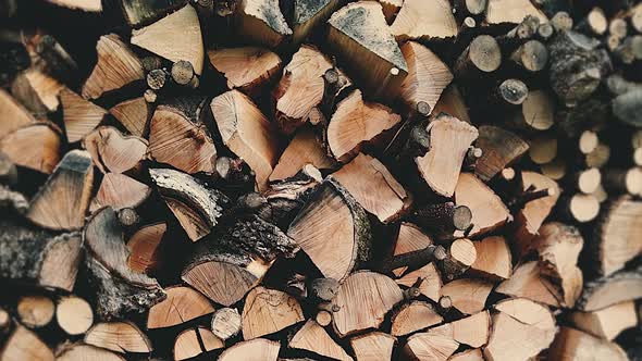 Village Warehouse With Firewood. Harvesting Wood Fuel For Winter
