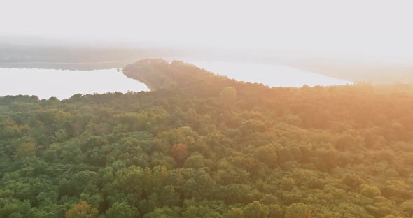The Forest Lake is Blanketed in a Foggy Sunrise Morning Mist in a Panoramic Aerial View alt