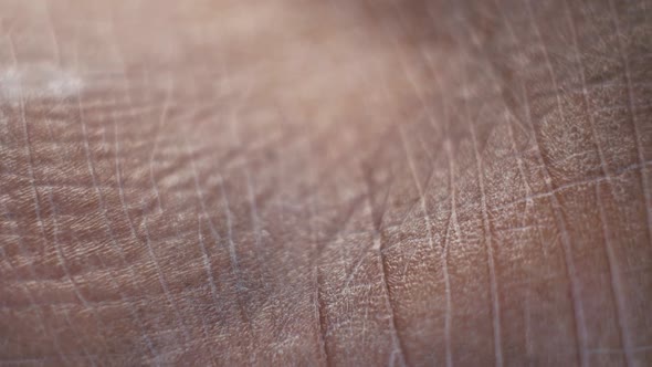 Human Skin Analysis alt