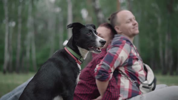Happy Dog in Forest with Blurred Caucasian Couple Sitting Back To Back at the Background and Smiling alt