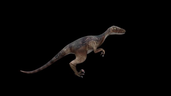 Deinonychus Dinosaur Walk alt