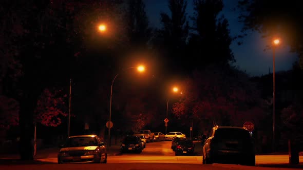 Cars Passing Through Suburbs At Night alt
