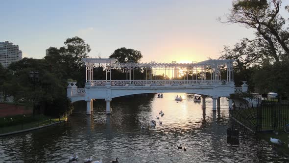 Aerial pan right of Rosedal gardens pond and white bridge at golden hour, Palermo neighborhood, Buen alt