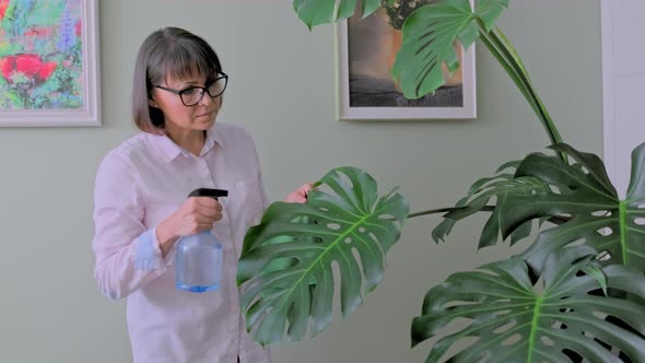 Woman Spraying Potted Plants with Water From a Spray Bottle