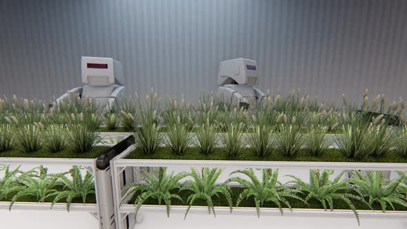 Agriculture With Robots