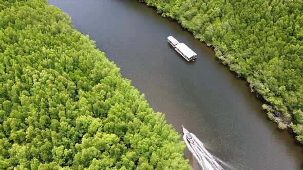 Aerial view of a longtail boat sailing in the sea among mangrove forest by drone