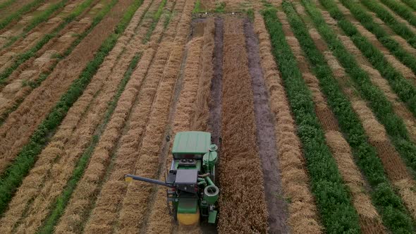 Slow Motion Aerial Shot of Modern Small Harvester Machine is Operating in the Field on Breeding alt