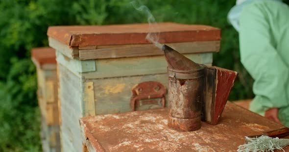 Beekeeper Smoker Is Standing on the Hive, Close-up. Worker at the Apiary, Smoke Coming From the alt
