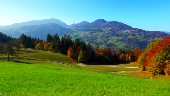 Vivid Green and Brown Autumn Landscape