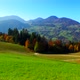 Vivid Green and Brown Autumn Landscape - VideoHive Item for Sale