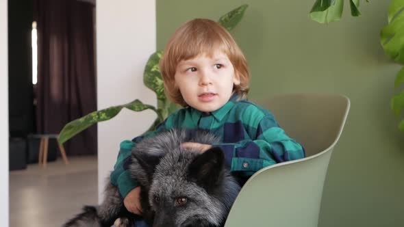 Child and His Pet Fox Portrait alt