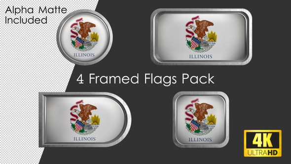 Illinois State Flag Framed alt