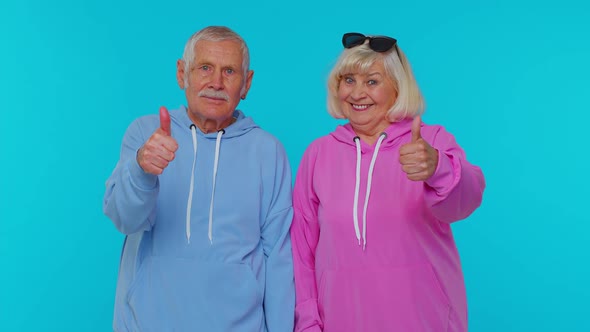 Senior Stylish Grandparents Pensioners Looking Approvingly at Camera Showing Thumbs Up Like Sign alt
