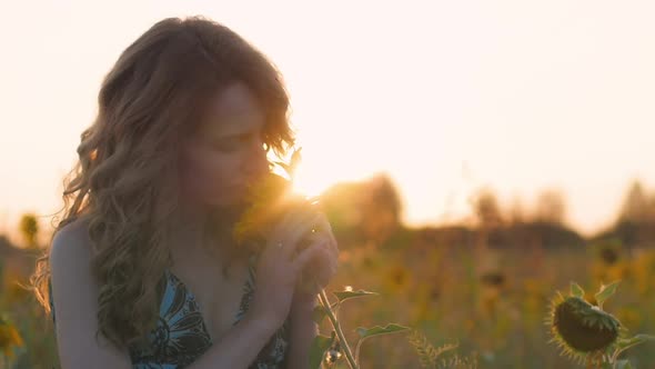 Portrait of a Young Attractive Woman with Red Hair and a Blue Dress in a Field of Sunflowers at alt