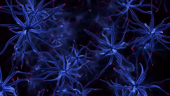 Nerve Cells Which Form Part Of The Nervous System alt