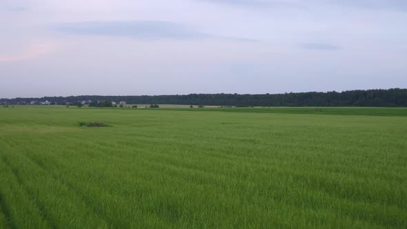 Aerial Summer Countryside 14 alt