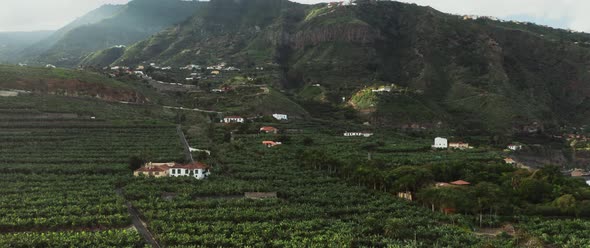 Landscape view of hills with banana trees fields alt