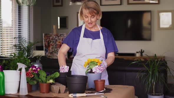 Video of flower gardening at home.  Shot with RED helium camera in 8K. alt