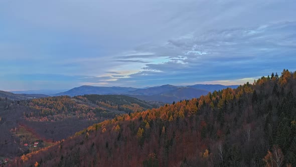 Epic cinematic aerial shoot of stunning beaty colours of autumn beskid mountains