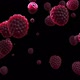 Flying of Raspberry in Black Background - VideoHive Item for Sale