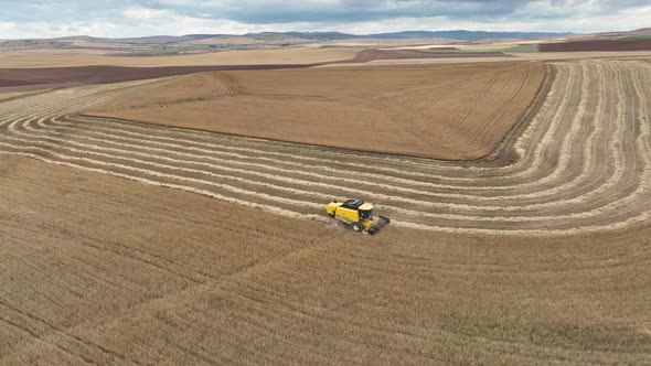 Wheat  Field Aerial View Of Combine Harvester Harvesting Wheat