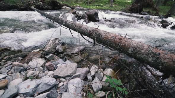 Mountain River with Rocks in Wood Slow Motion Footage Dolomites South Tyrol Italy alt