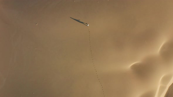  Aerial View of the Woman Walking By Sand Dunes in the Desert Nature, USA alt