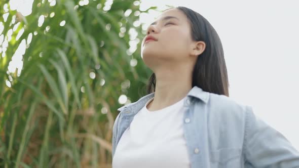 Happy Asian female relaxed enjoying peaceful sunset and looking up, exhaling fresh air relaxing.