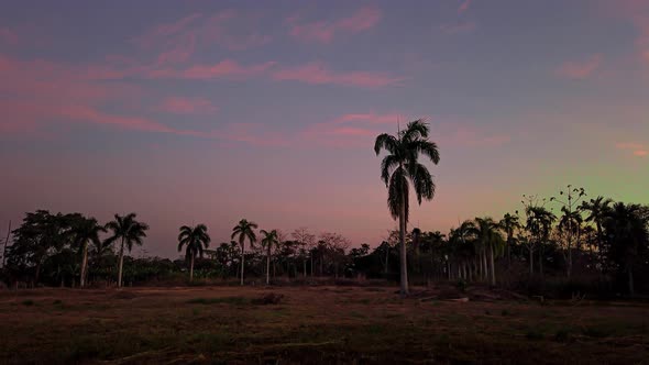 Sunset over palm tree cultivation, sunset timelapse, variations in the colors of the sky alt