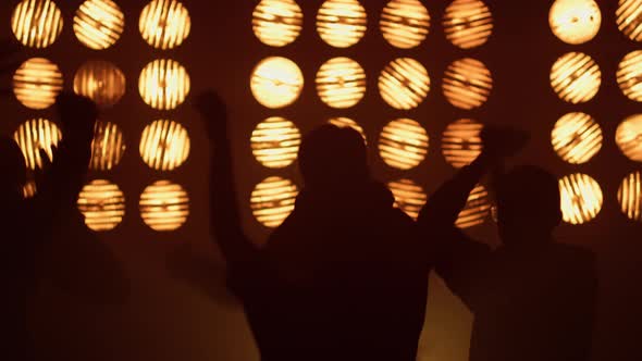 Cheering People Jumping Up Raising Hands in Club alt