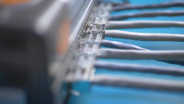 Wires with Telecommunication Network Interface RJ45 in Ports of Internet Router Box alt