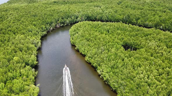 Aerial view of a longtail boat sailing in the sea among mangrove forest by drone