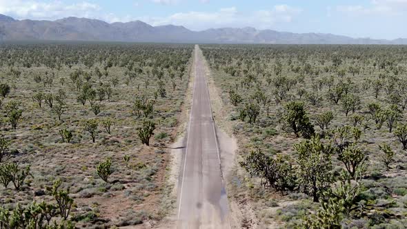 Aerial View of Endless Desert Straight Dusty Asphalt Road in Joshua Tree Park. USA. alt