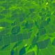Polygonal Green Background 4K - VideoHive Item for Sale