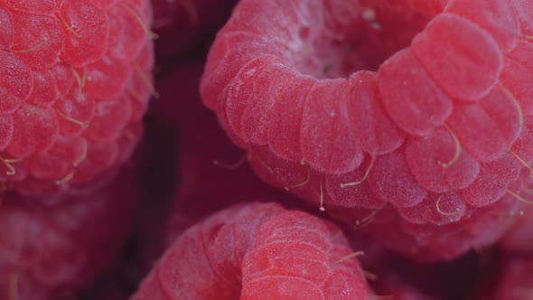 Top View Fresh Juicy Red Raspberries on Rotating Surface Close Up Macro