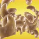 Flying of Cashews in Yellow Background - VideoHive Item for Sale