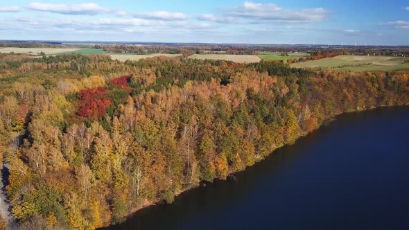 Small lake surrounded by trees. Aerial shot. Autumn colors. Bright, sunny day. Pan shot. Poland. alt