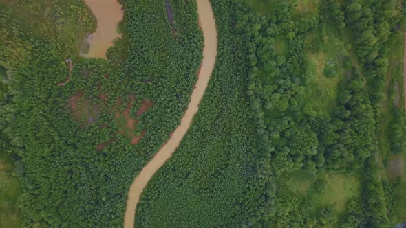 A huge dirty river in the forest alt