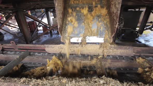 Production machine working and producing palm oil in a huge factory in Malaysia (Kilang Kelapa Sawit alt