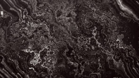 Fluid Color Movement