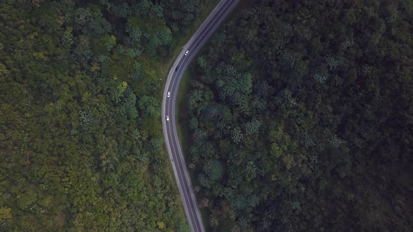 Cenital Drone Of Read In The Middle Of The Forrest Wirh Cars In The Middle 4k 24fps alt