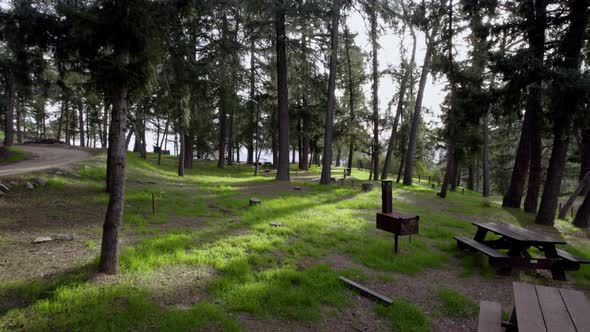 A cinematic drone shot push in of a campground in a dense forest at golden hour. With a trail in the alt