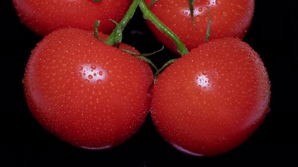 Top View of Water Drops on Ripe Fresh Tomatoes on a Black Background