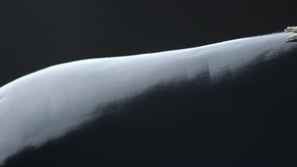 Natural Raw Eggplant Rotating alt